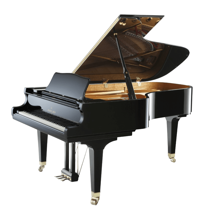 SK-6