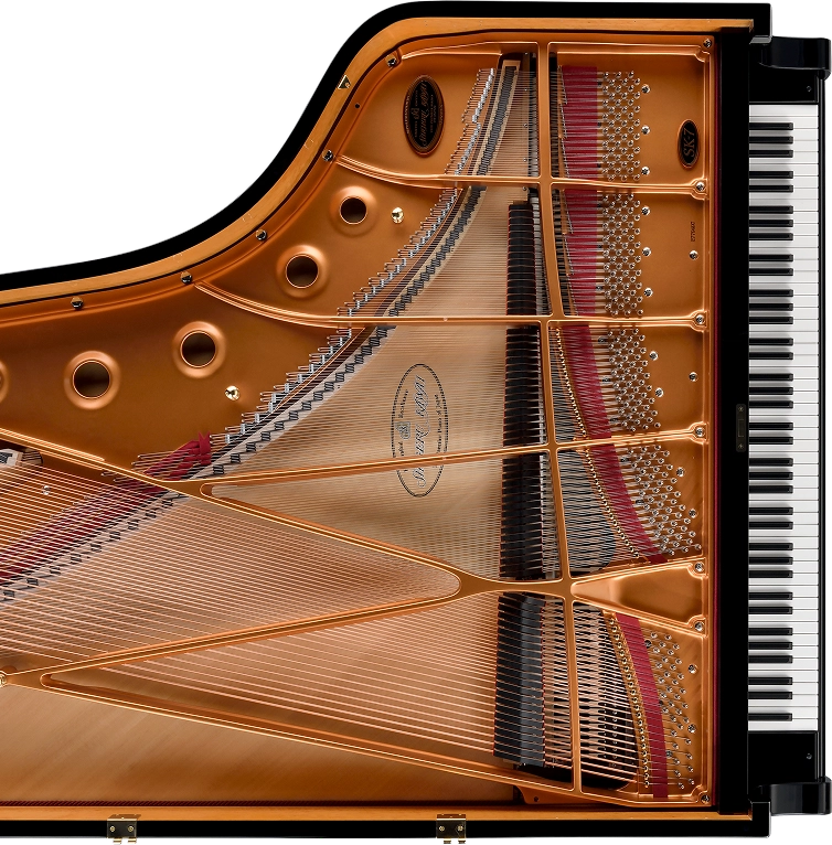 shigeru kawai